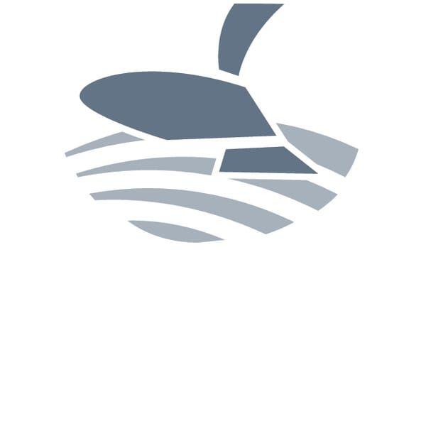 Цепь роликовая