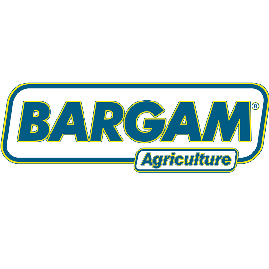 Bargam